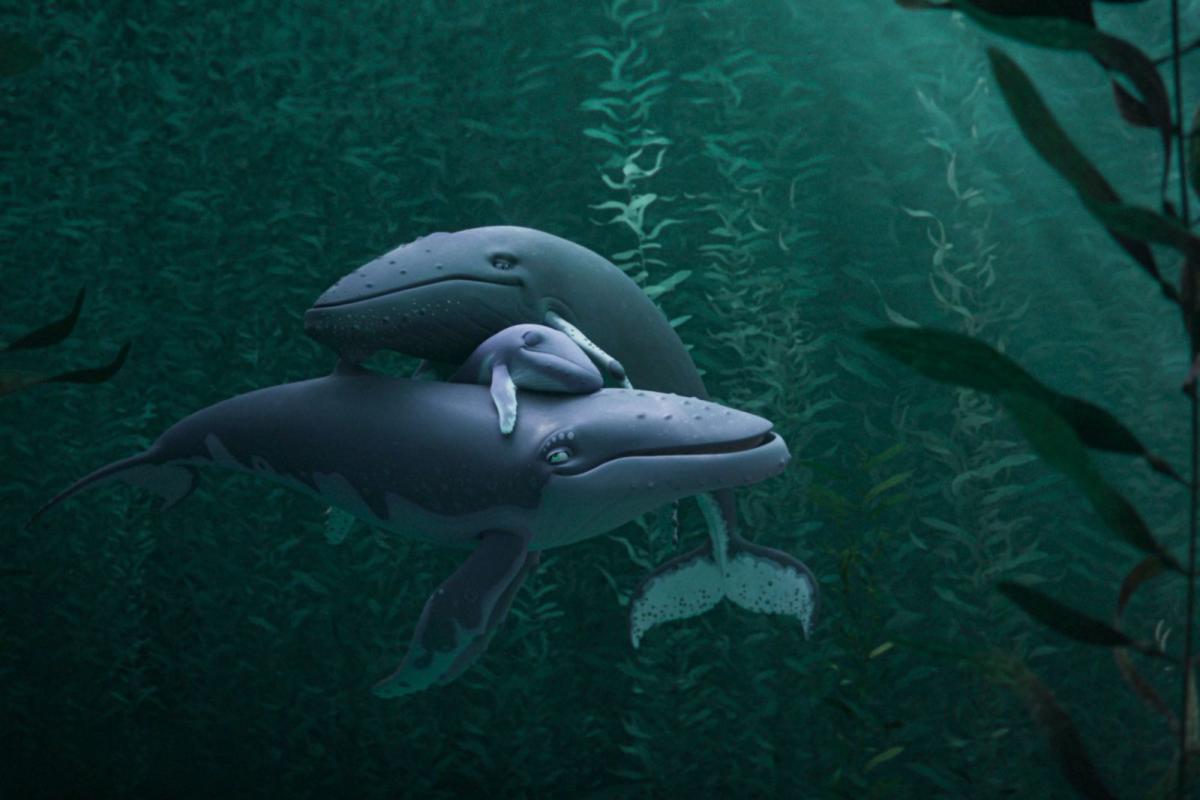 Ultima balenă cântătoare