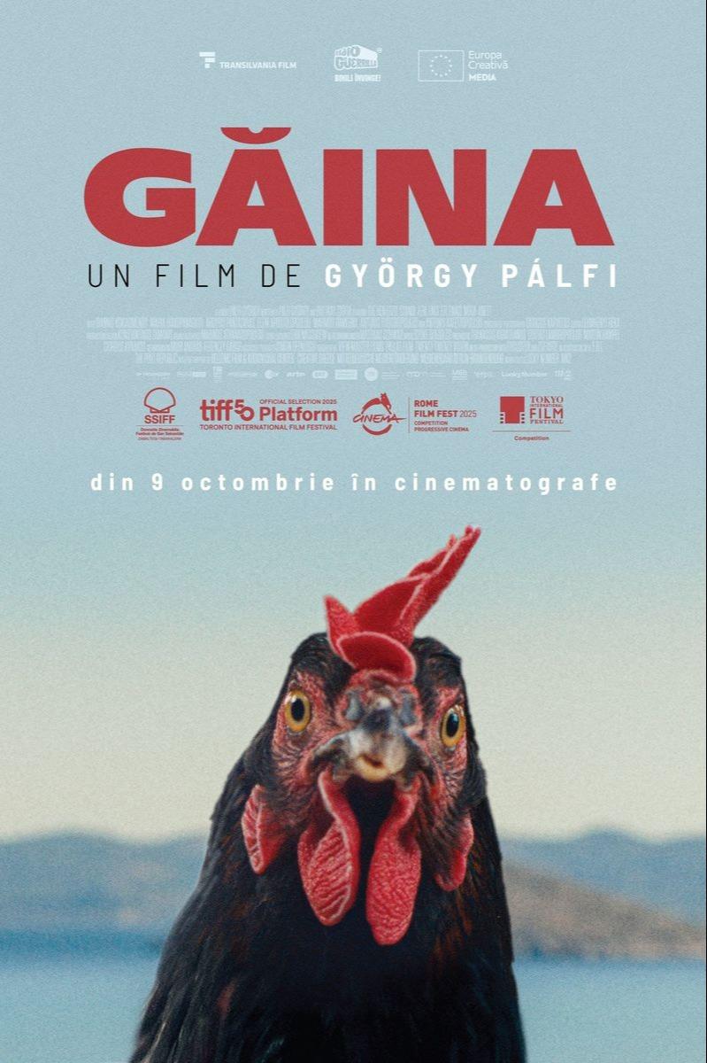 Găina