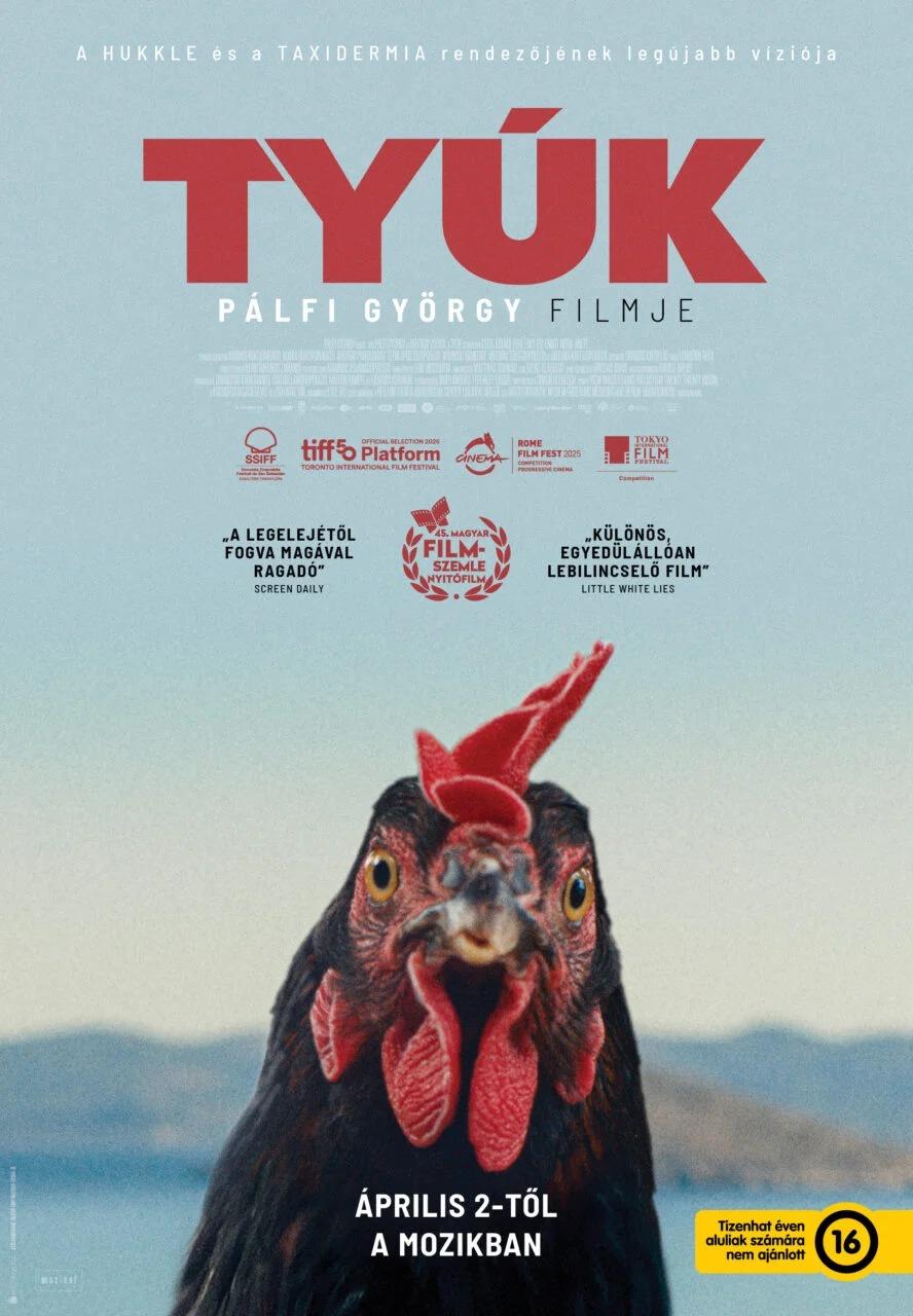 Tyúk